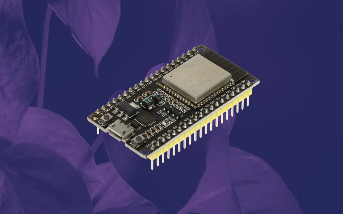 ESP32 Website Check